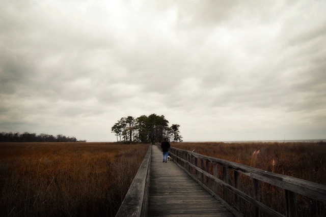 [DSC_0103 copy2[4].jpg]